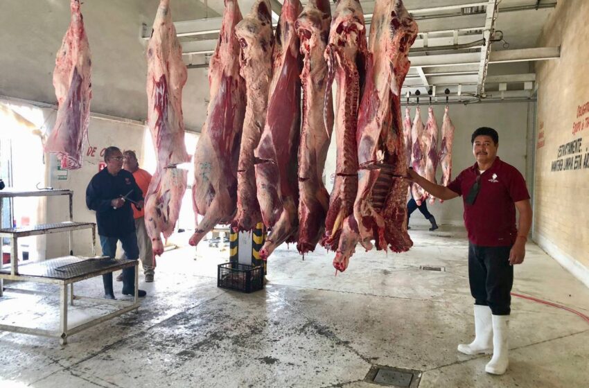  ¡QUE SE HAGA EL CARNESAZO!