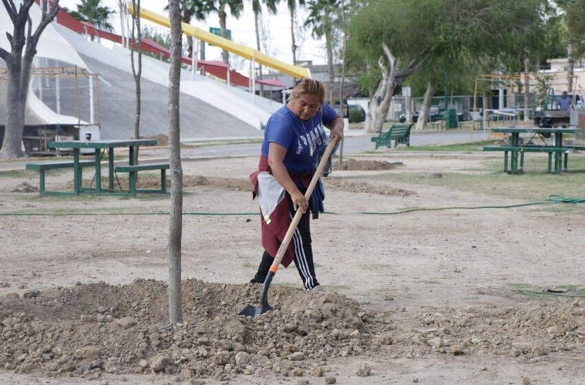  VERDE QUE TE QUIERO VERDE
