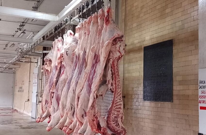  EL RASTRO SE DECLARA LISTO PARA EL CARNESAZO Y  LA TAMALADA