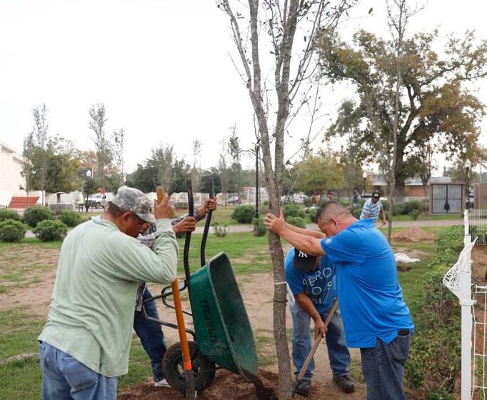  INICIA CAMPAÑA DE REFORESTACIÓN EN PLAZAS Y PARQUES MUNICIPALES
