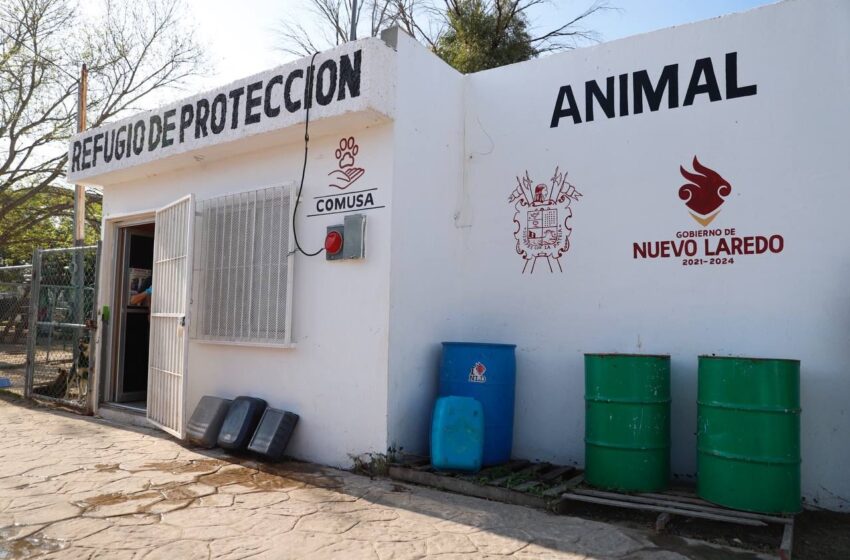  REACTIVA MUNICIPIO CAMPAÑA DE ESTERILIZACIÓN DE MASCOTAS PARA EVITAR SU PROLIFERACIÓN EN LA CALLE