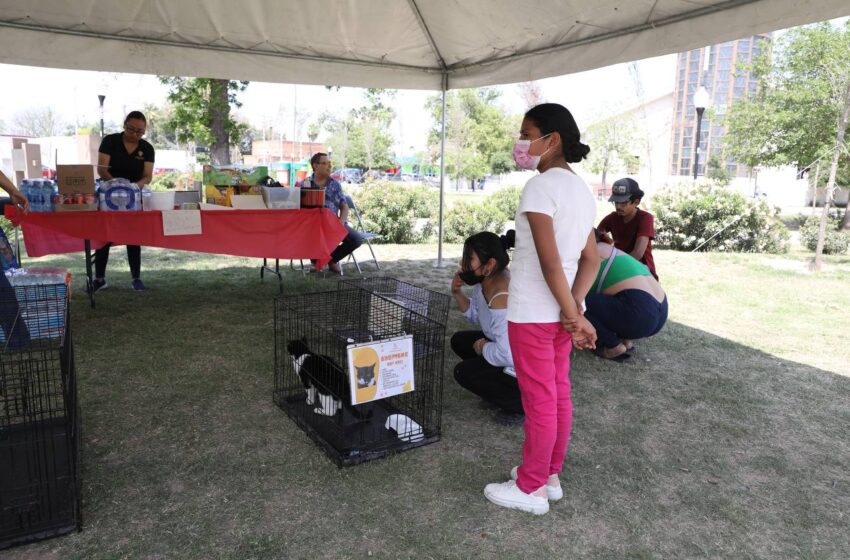  HALLAN NUEVO HOGAR ANIMALITOS RESCTADOS POR EL GOBIERNO  MUNICIPAL