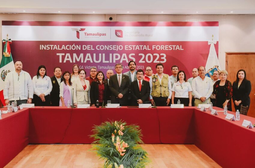  ES CARMEN LILIA CANTUROSAS, CONSEJERA REGIONAL DEL CONSEJO ESTATAL FORESTAL