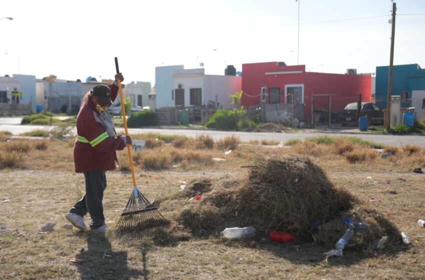 BRINDA GOBIERNO MUNICIPAL APOYO DE LIMPIEZA DE TERRENOS PARTICULARES  